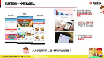 互聯網食品營銷解決方案 信息技術咨詢服務精華解析